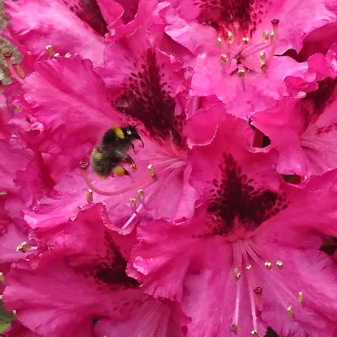 IMG_20170529_151802_888